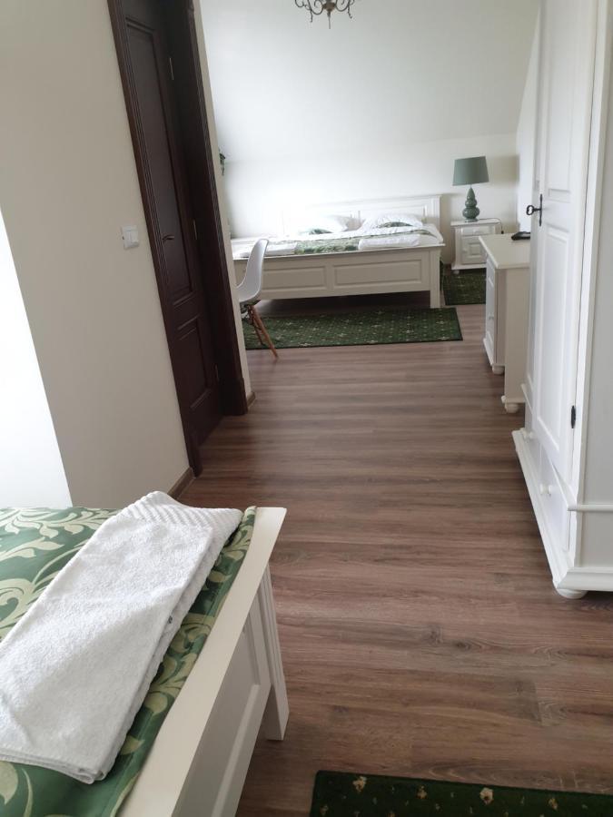 Pensiunea Gradina Verde Becicherecu Mic Екстериор снимка